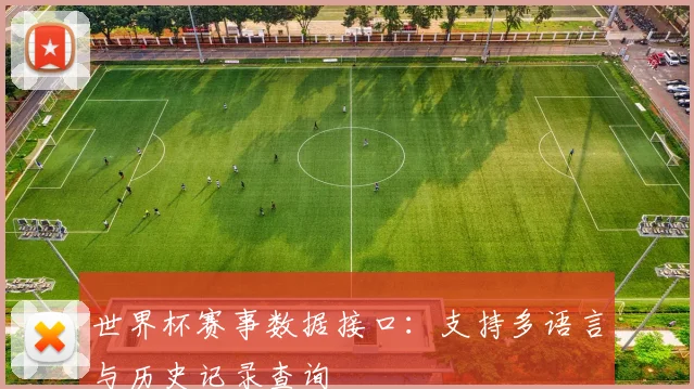 世界杯赛事数据接口：支持多语言与历史记录查询