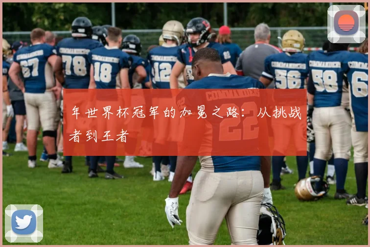 年世界杯冠军的加冕之路：从挑战者到王者
