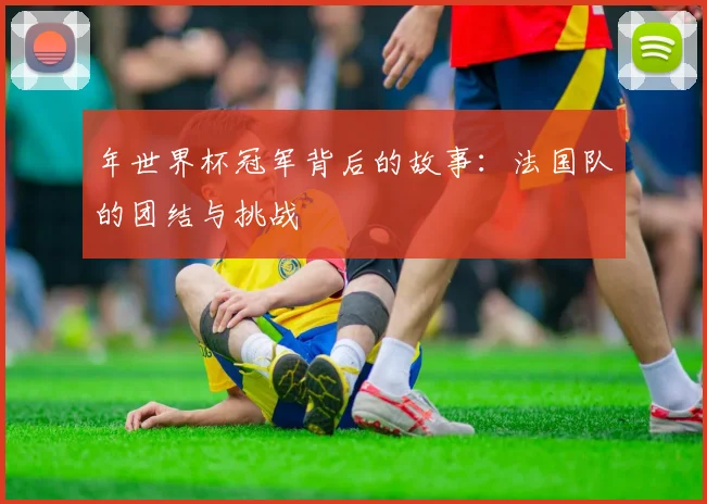 年世界杯冠军背后的故事：法国队的团结与挑战