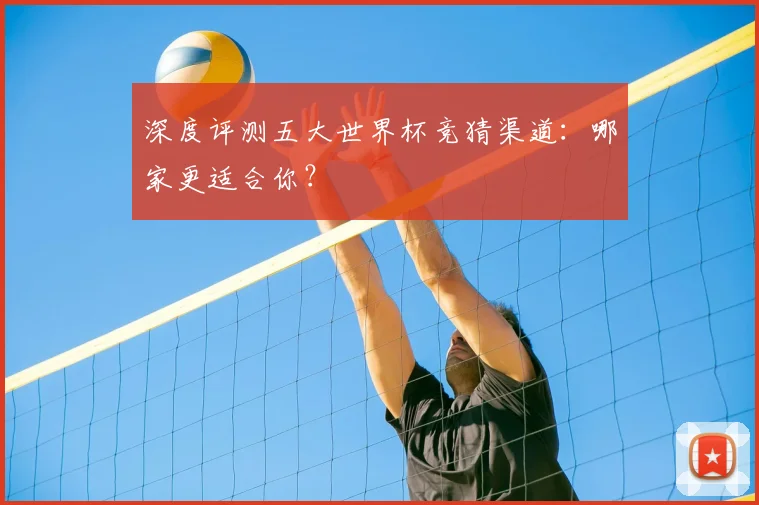 深度评测五大世界杯竞猜渠道：哪家更适合你？