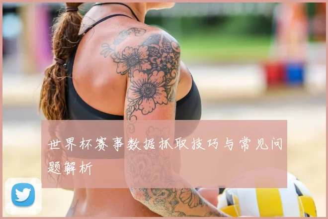 世界杯赛事数据抓取技巧与常见问题解析