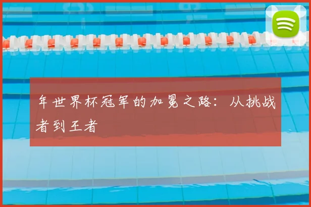 年世界杯冠军的加冕之路：从挑战者到王者