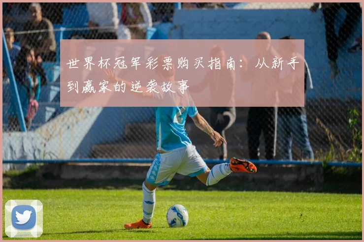 世界杯冠军彩票购买指南:从新手到赢家的逆袭故事