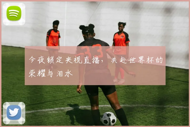 今夜锁定央视直播,共赴世界杯的荣耀与泪水