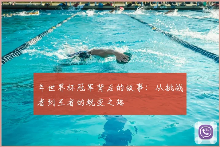 年世界杯冠军背后的故事：从挑战者到王者的蜕变之路